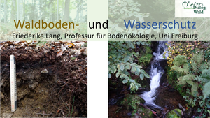 Titelbild Vortrag Waldboden und Wasserschutz - Friederike Lang - Uni Freiburg
